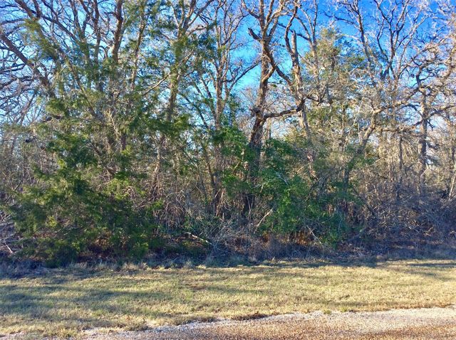 320 Alvina Ulich Street, Somerville, TX 77879