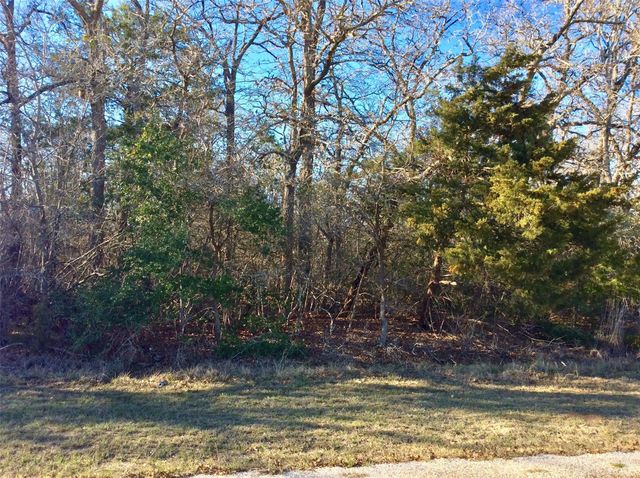 320 Alvina Ulich Street, Somerville, TX 77879