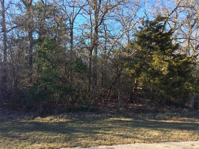 320 Alvina Ulich Street, Somerville, TX 77879