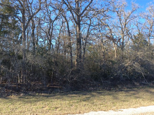 320 Alvina Ulich Street, Somerville, TX 77879