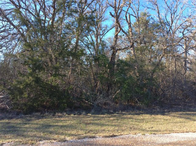 320 Alvina Ulich Street, Somerville, TX 77879