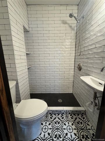 718 N Grant Street 11, Denver, CO 80203