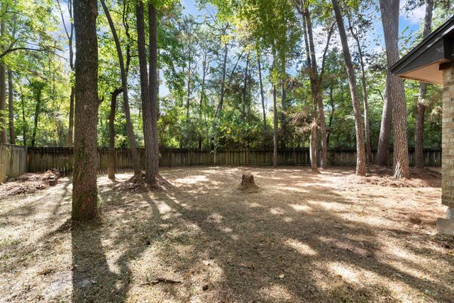 19 Tremont Woods Court, The Woodlands, TX 77381