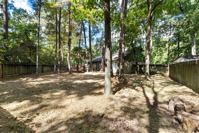 19 Tremont Woods Court, The Woodlands, TX 77381