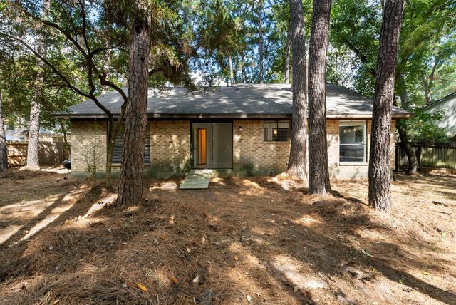 19 Tremont Woods Court, The Woodlands, TX 77381
