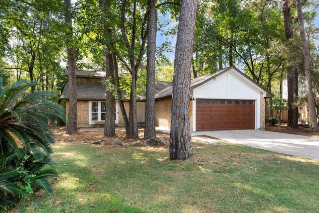 19 Tremont Woods Court, The Woodlands, TX 77381