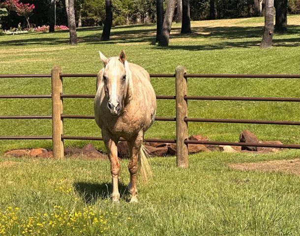 7421 Dawn Avenue, Pilot Point, TX 76258