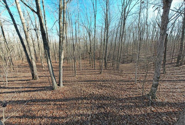 211 Walosi Lane, South Pittsburg, TN 37380