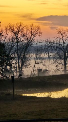 2190 St Highway 181, Dora, MO 65637