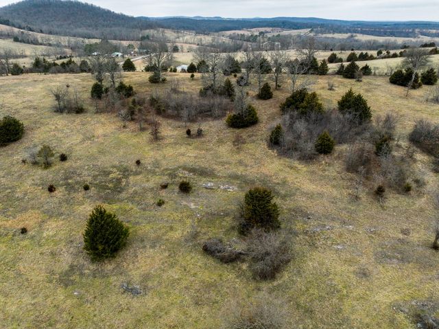 2190 St Highway 181, Dora, MO 65637