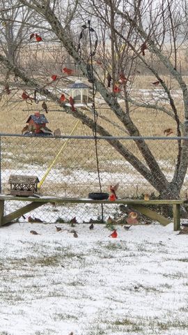 2190 St Highway 181, Dora, MO 65637