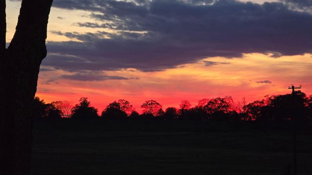 2190 St Highway 181, Dora, MO 65637