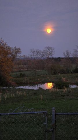 2190 St Highway 181, Dora, MO 65637