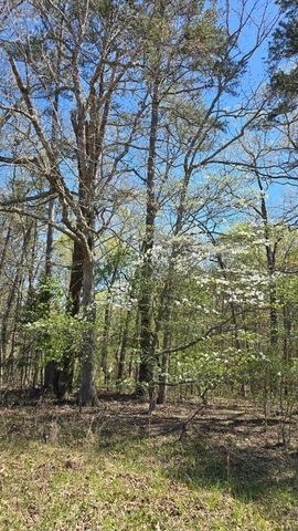 2190 St Highway 181, Dora, MO 65637