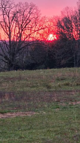 2190 St Highway 181, Dora, MO 65637