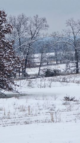 2190 St Highway 181, Dora, MO 65637