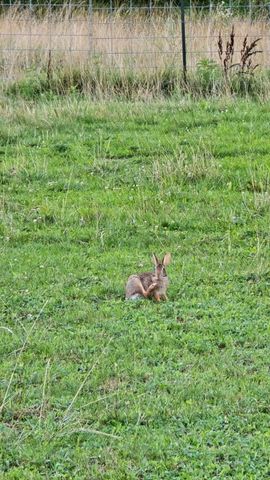 2190 St Highway 181, Dora, MO 65637