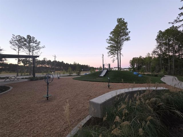 25344 Carnation Ct, Montgomery, TX 77316