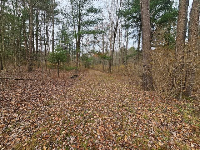 3963 Watkins Road, Veteran, NY 14872