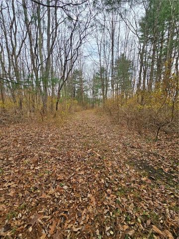 3963 Watkins Road, Veteran, NY 14872