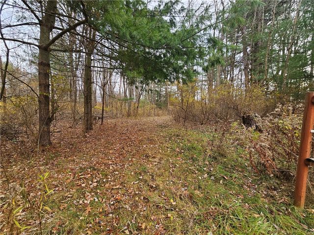 3963 Watkins Road, Veteran, NY 14872