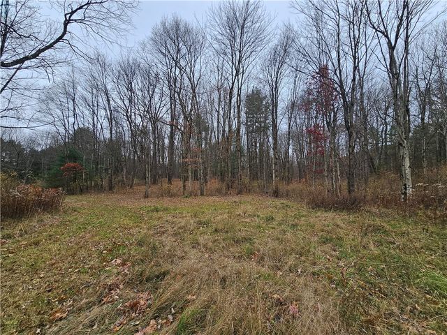 3963 Watkins Road, Veteran, NY 14872