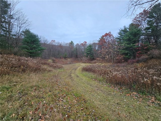 3963 Watkins Road, Veteran, NY 14872