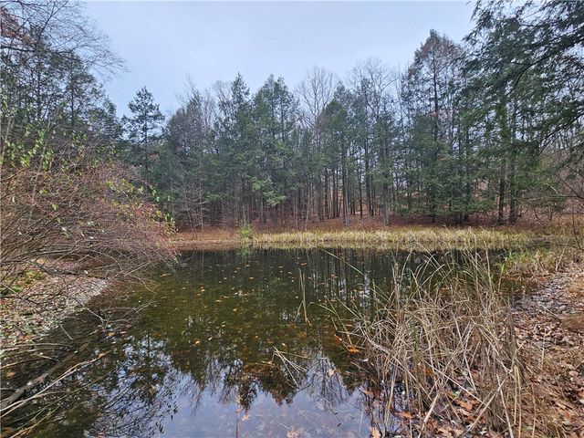 3963 Watkins Road, Veteran, NY 14872