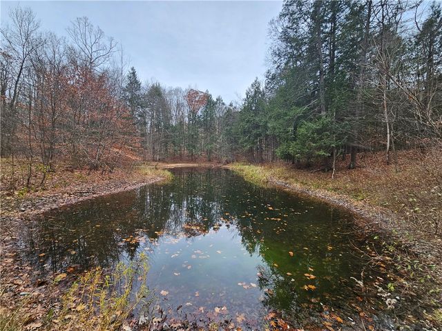 3963 Watkins Road, Veteran, NY 14872