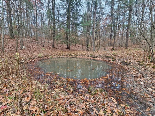 3963 Watkins Road, Veteran, NY 14872