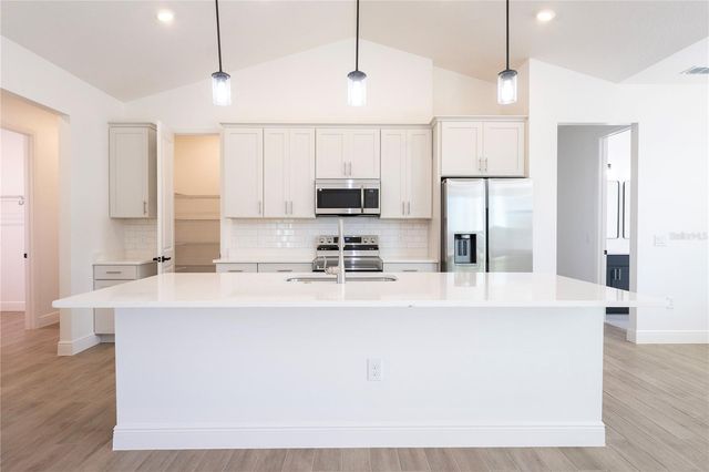 10745 PHILIPS LANDING COURT, Webster, FL 33597