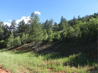 8117 Acoma Drive, Larkspur, CO 80118