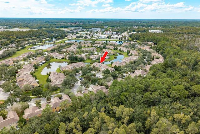 20324 NOBLE OAK PLACE, Tampa, FL 33647