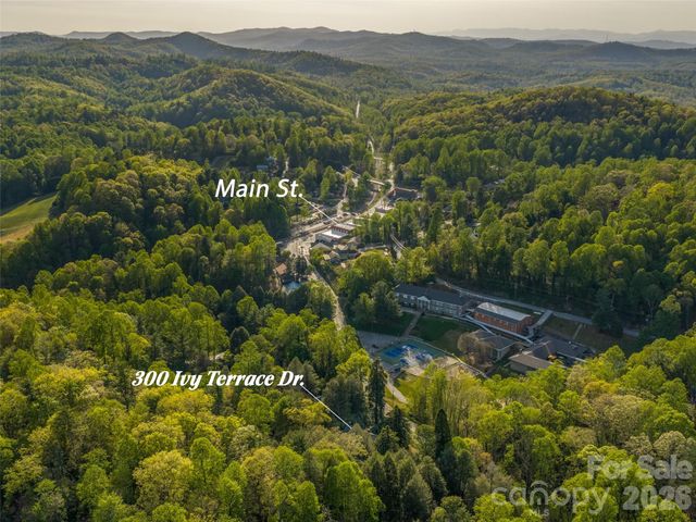 300 Ivy Terrace Drive, Saluda, NC 28773