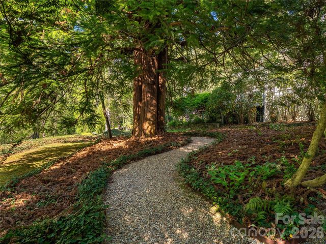 300 Ivy Terrace Drive, Saluda, NC 28773