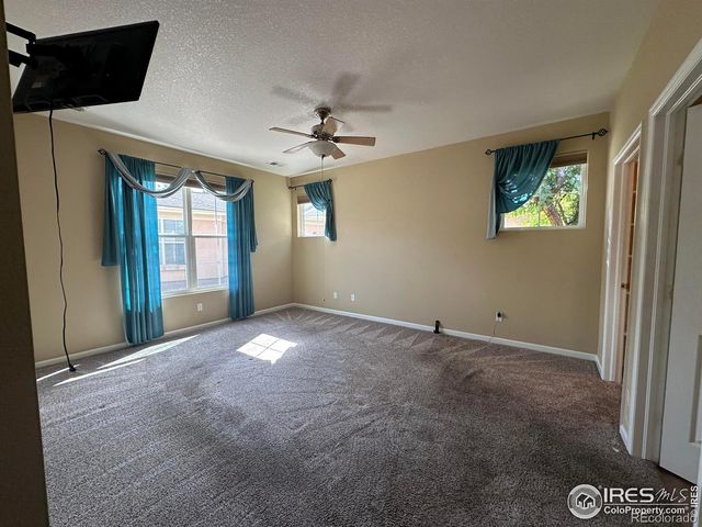 1238 Finch Street, Loveland, CO 80537