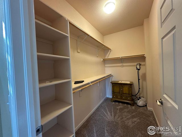 1238 Finch Street, Loveland, CO 80537