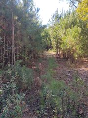 00 Joe Robertson, Rocky Face, GA 30740