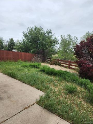 4022 Perth Street, Denver, CO 80249