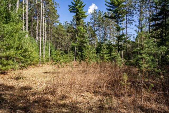 W6090 N Lake Drive, New Lisbon, WI 53950