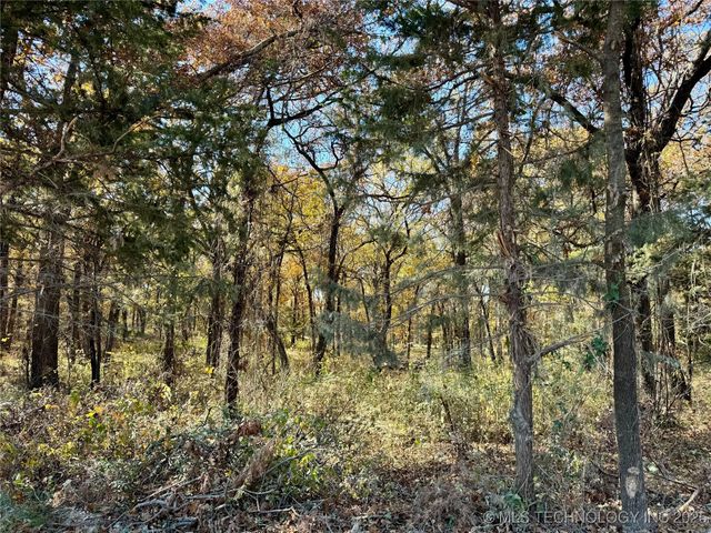 4863 Cobb, Kingston, OK 73439