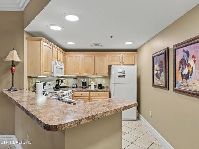 215 Woliss Lane # 303, Gatlinburg, TN 37738