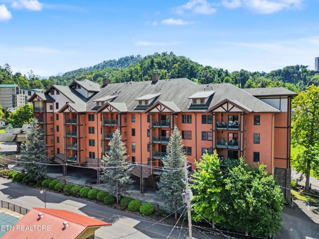 215 Woliss Lane # 303, Gatlinburg, TN 37738