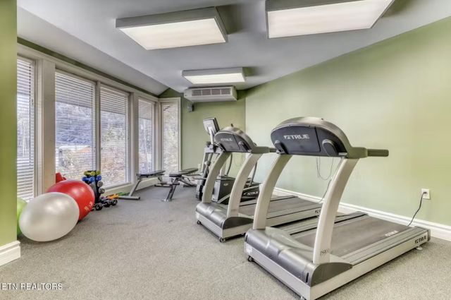 215 Woliss Lane # 303, Gatlinburg, TN 37738