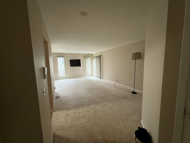 127 Wolcott Court 2, Schaumburg, IL 60193