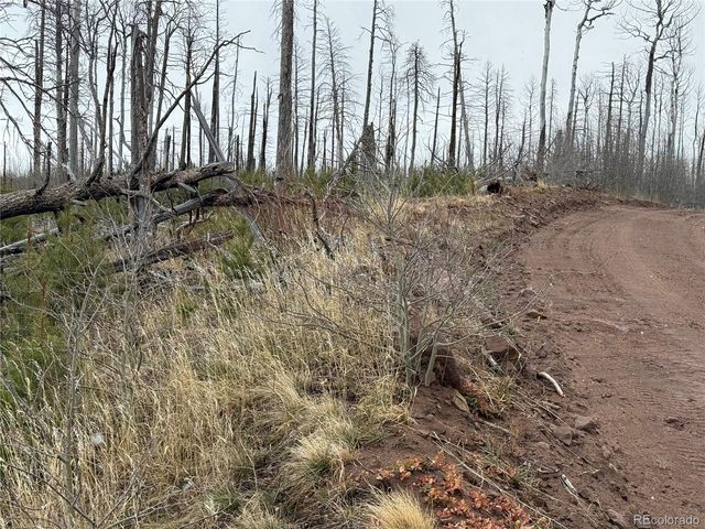 Lot 1960 Hilda Lane, Fort Garland, CO 81133