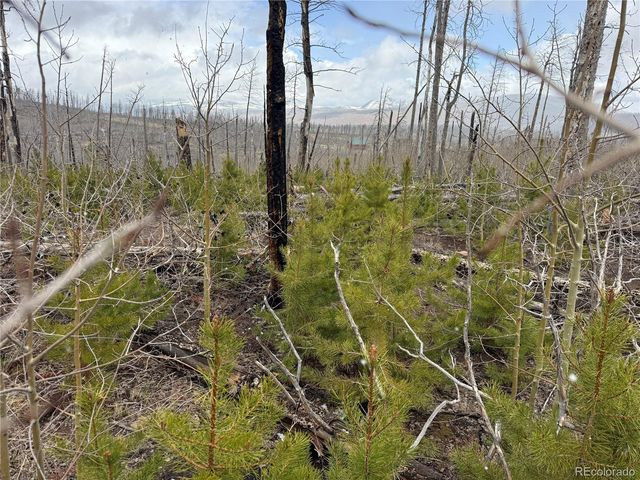Lot 1960 Hilda Lane, Fort Garland, CO 81133