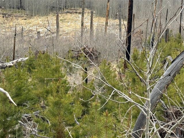 Lot 1960 Hilda Lane, Fort Garland, CO 81133