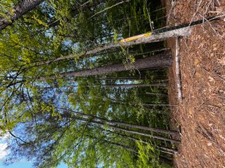 0 Bend Road, Coldwater, MS 38618