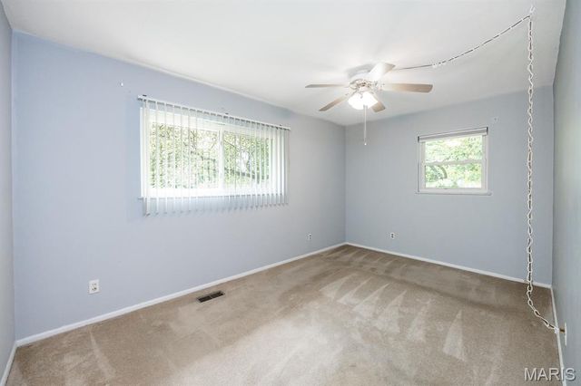 1205 Salem Drive, Belleville, IL 62221